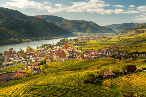 SPITZ AUSTRIA CRUCEROS DANUBIO CRUCEROS WACHAU DANUBE CRUISES #Cruises #DanubeCruises #Spitz #Viñedos #Wine #Vino